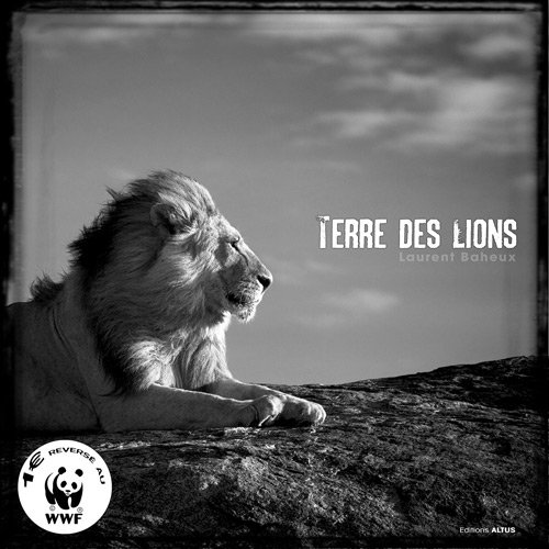 Terre des lions, un livre de Laurent Baheux
