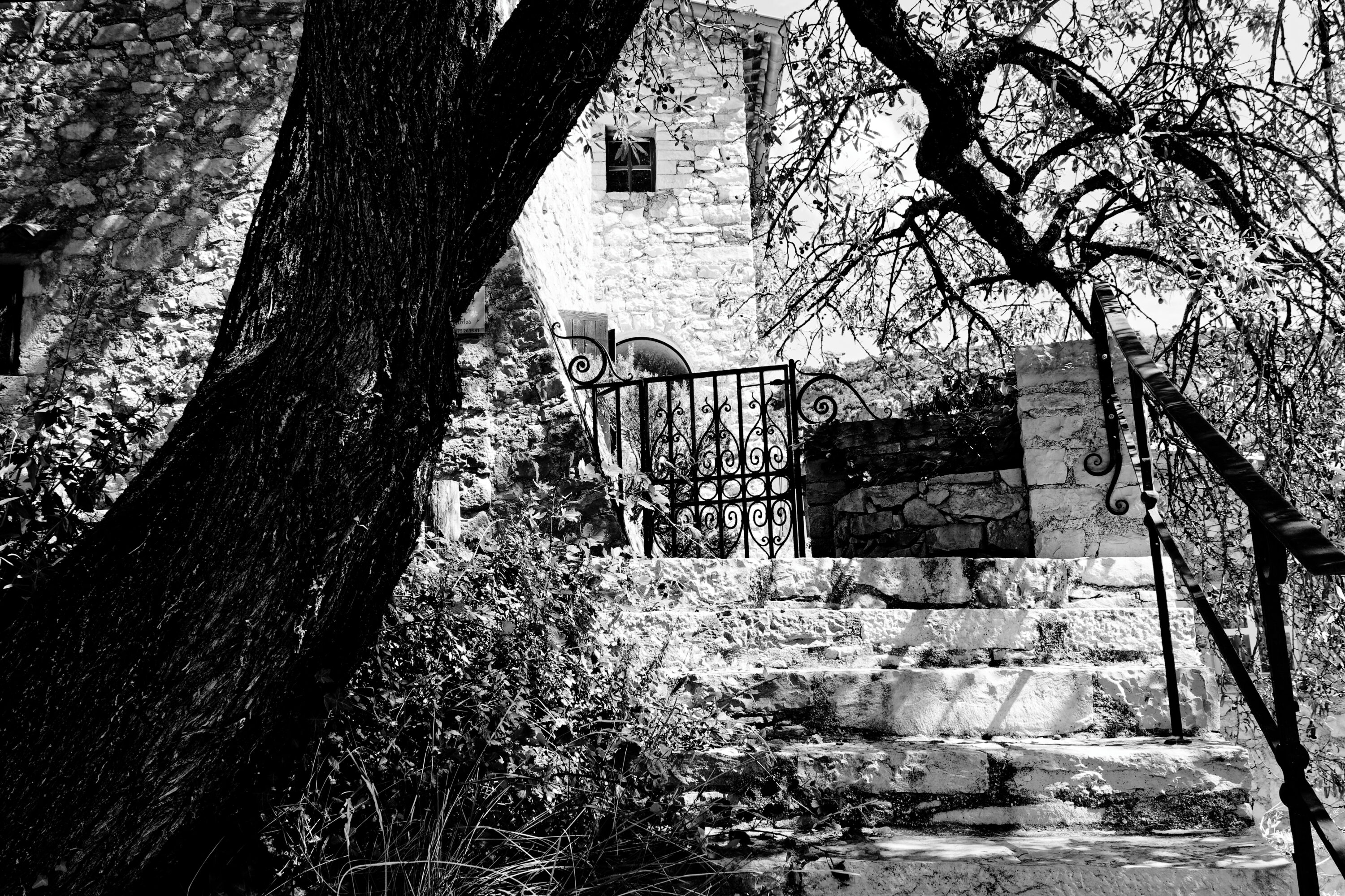 Midi en Provence : la « mauvaise lumière » n’existe pas en photographie